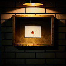 Load image into Gallery viewer, 4月13日公演 TOMO NAKAYAMA & oono yuuki - UNPLUGGED LIVE SERIES「音番地」@封灯