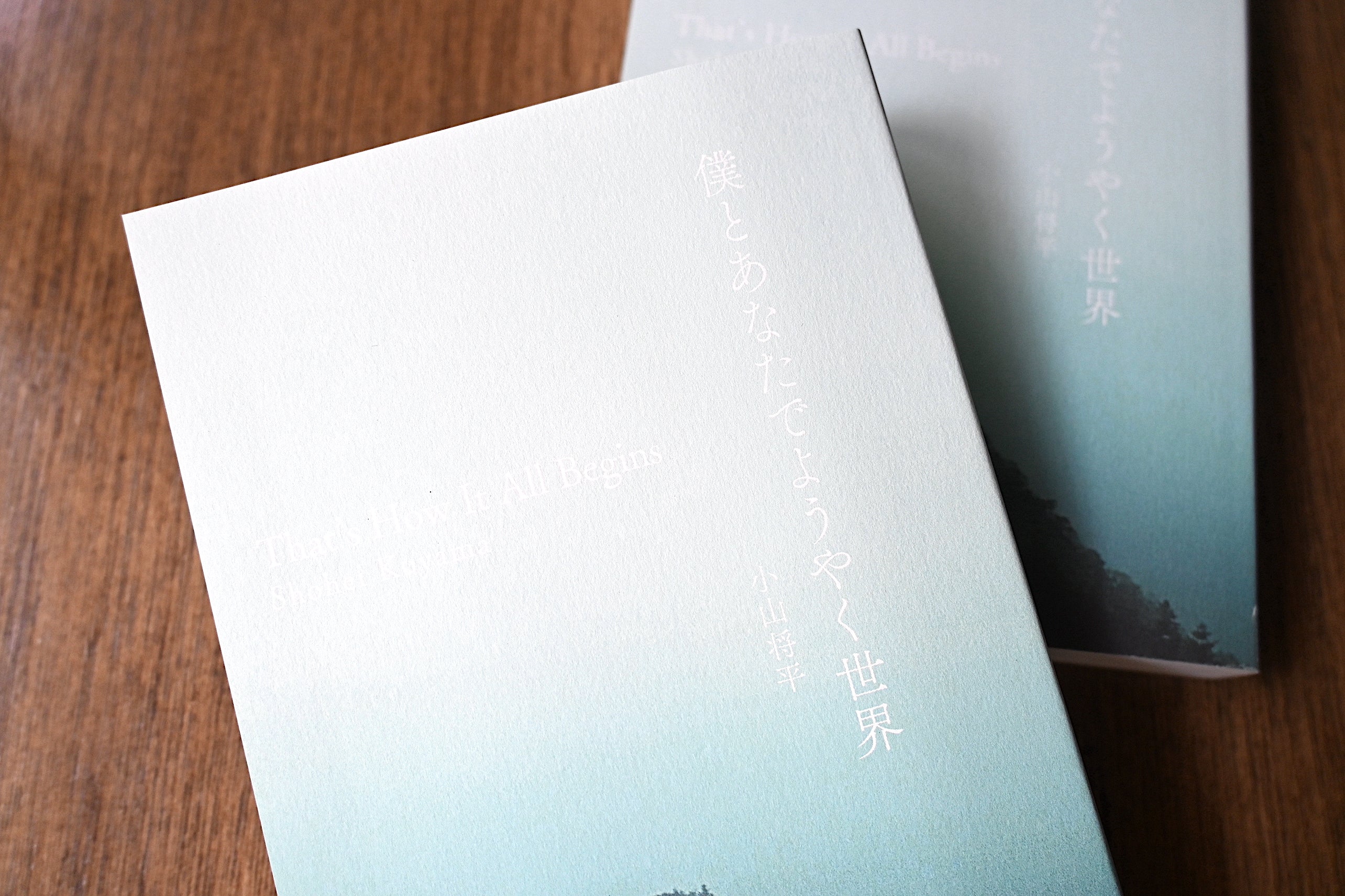 LETTERS AU MAIRE DE V. 市長への手紙　アレクス・バルビエ 商品一覧 - 未来の自分へ手紙が送れるお店、東京・蔵前「自由丁